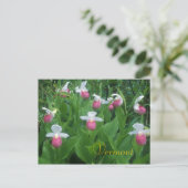 Showy Lady's Slippers Postkarte (Stehend Vorderseite)