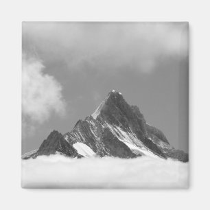 Shreckhorngipfel, 3741 m. von Faulhorn, Magnet