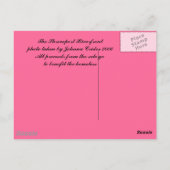 Shrepport Riverfront Postkarte (Rückseite)