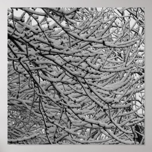 Shrepport Snowfall Poster (Vorne)