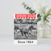 Shrewd One von Smarty Jones Postkarte (Stehend Vorderseite)
