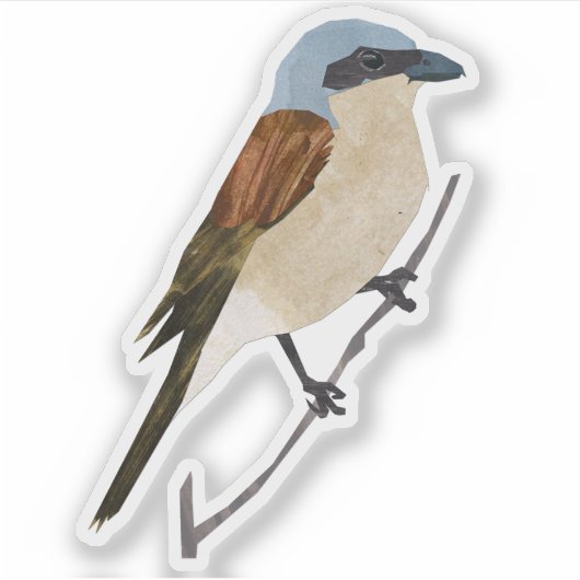 Shrike Aufkleber (Vorderseite)
