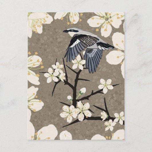 Shrike Feiertagspostkarte (Vorderseite)