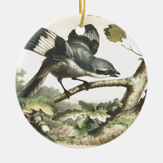SHRIKE VOGEL MIT WANZE KERAMIKORNAMENT (Vorne)