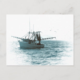 Shrimp Boat Postkarte