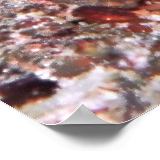 Shrimp Goby Duo Poster (Ecke)