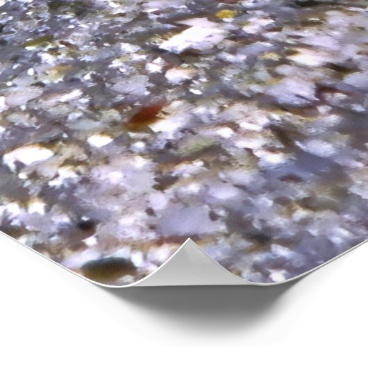 Shrimp Goby-Maldives Poster (Ecke)