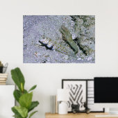 Shrimp Goby und Partner Poster (Heimbüro)