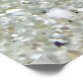 Shrimp Goby und Shrimp Poster (Ecke)
