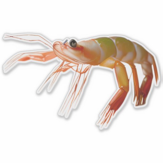 Shrimp kleiner Typ hart Aufkleber (Vorderseite)