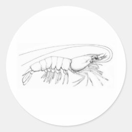 Shrimp-Logo Runder Aufkleber
