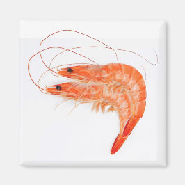 Shrimp Lovers Magnet