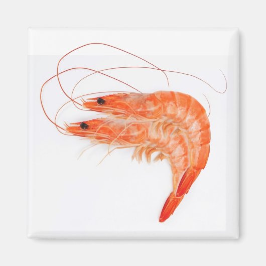 Shrimp Lovers Magnet (Vorne)