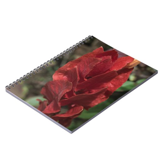 Shrimp-Pflanze oder Towervermilion Notizblock (Linke Seite)