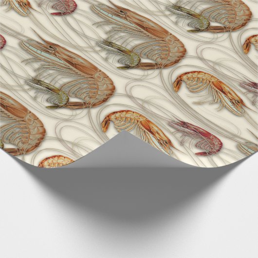 Shrimp Seafood Shellfish Muster Ecru Geschenkpapier (Ecke)