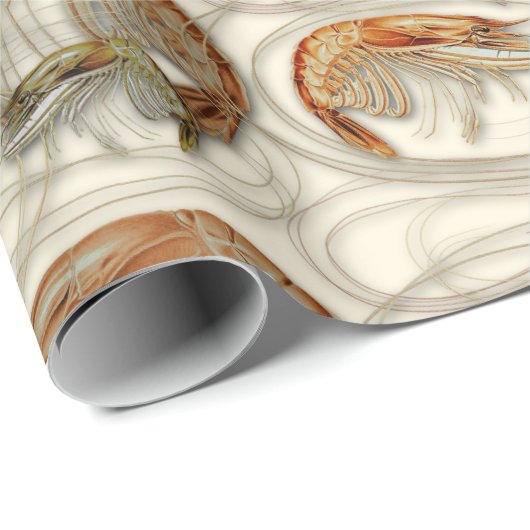 Shrimp Seafood Shellfish Muster Ecru Geschenkpapier (Rolleneckpunkt)