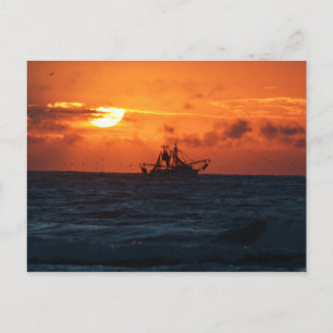 Shrimper Postkarte