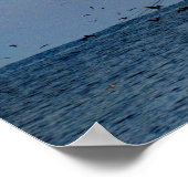 Shrimping At Sundown Poster (Ecke)