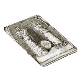 Shrine of St. Patrick's hand, from 'The Trias Thua Magnet (Rechte Seite)