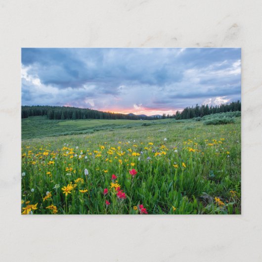 Shrine Pass Road, Red Cliff, Vereinigte Staaten Postkarte (Vorderseite)