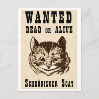 Shrodinger-Katze gewollt Plakat Postkarte