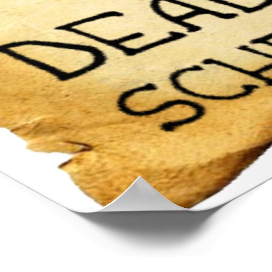 Shrodinger's Cat Funny Poster (Ecke)