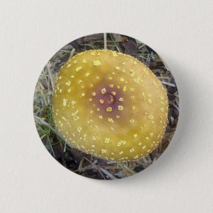 Shroom morgens button