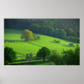 Shropshire Hills Poster (Vorne)