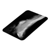 Shrouded Baird Peak Magnet (Linke Seite)