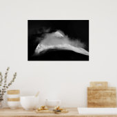 Shrouded Baird Peak Poster (Küche)