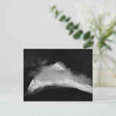 Shrouded Baird Peak Postkarte (Stehend Vorderseite)