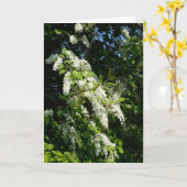 Shrub mit weißen Blume Karte (Gelbe Blume)