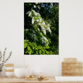 Shrub mit weißen Blume Poster (Küche)
