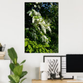 Shrub mit weißen Blume Poster (Heimbüro)