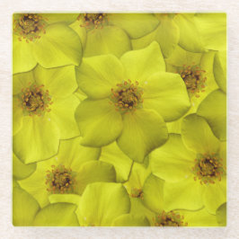 Shrubby Cinquefoil Nahtloses Muster Glasuntersetzer