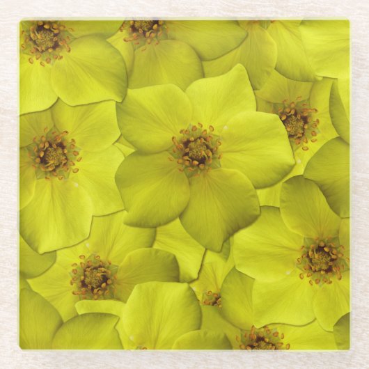 Shrubby Cinquefoil Nahtloses Muster Glasuntersetzer (Vorderseite)