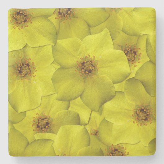 Shrubby Cinquefoil Nahtloses Muster Steinuntersetzer (Vorderseite)