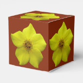 Shrubby Cinquefolie #1 Geschenkschachtel (Rückseite)