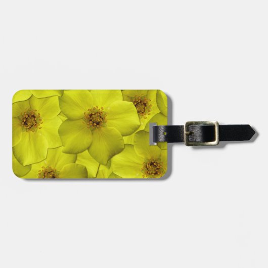 Shrubby Cinquefolie Nahtloses Muster Gepäckanhänger (Vorderseite horizontal)