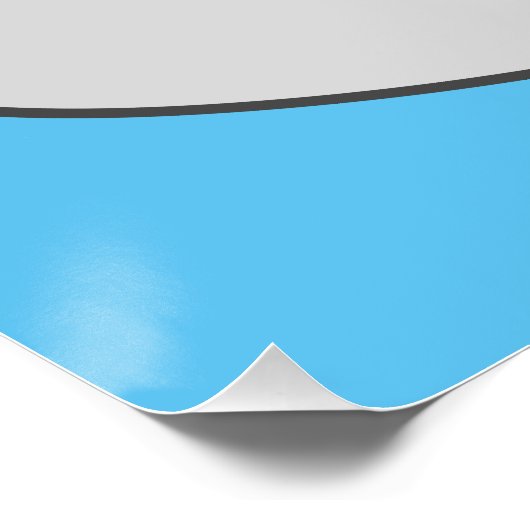 Shumai dim sum Cartoon Illustration Poster (Ecke)