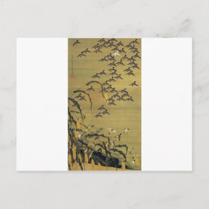 Shuto gunjakuzu von Ito Jakuchu Postkarte