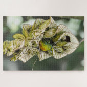 Shy Bird, Olive Euphonia Puzzle (Horizontal)