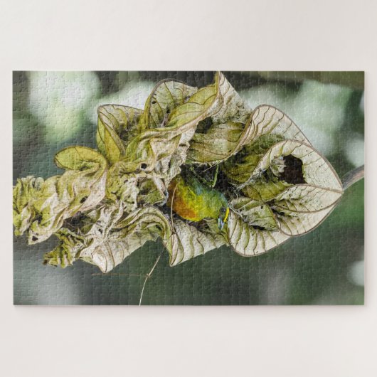 Shy Bird, Olive Euphonia Puzzle (Horizontal)