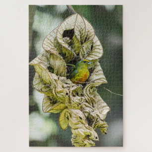 Shy Bird, Olive Euphonia Puzzle