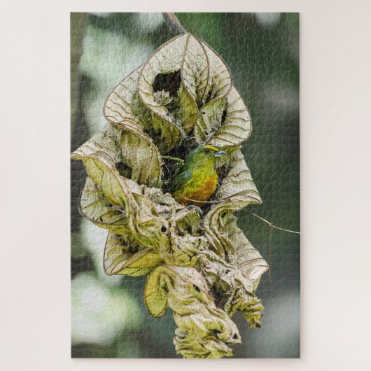 Shy Bird, Olive Euphonia Puzzle (Vertikal)