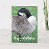 Shy Canada Goose Foto Birthday Karte (Vorderseite)