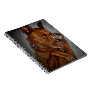 Shy Chocolate Labrador Pit Mix Dog Notizblock