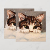 Shy & Curious Tabby Kitten (Vorne/Hinten)