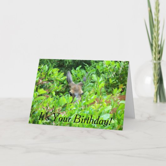 Shy Deer Wildlife Birthday Karte (Vorderseite)