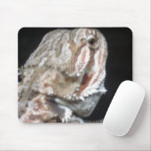 Shy Dragon Mousepad (Mit Mouse)